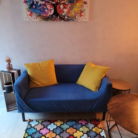 Studio Bourbon Apartment La Roche-Posay Ngoại thất bức ảnh