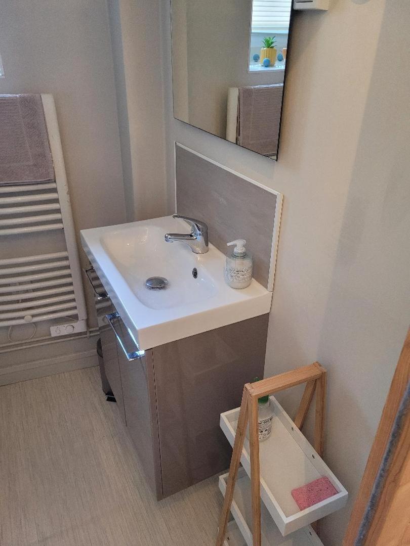 Studio Bourbon Apartment La Roche-Posay Ngoại thất bức ảnh